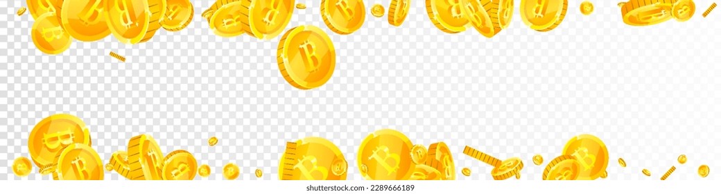 Monedas de bitcoin cayendo. Monedas de oro esparcidas por criptodivisa BTC. Moneda de Internet. El concepto de riqueza o éxito del bote. Ilustración de vector panorámica.