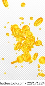 Bitcoin-Münzen fallen. Kryptowährungen verstreute Gold-BTC-Münzen. Internetwährung. Großartiges Erfolgskonzept für Unternehmen. Vektorgrafik.