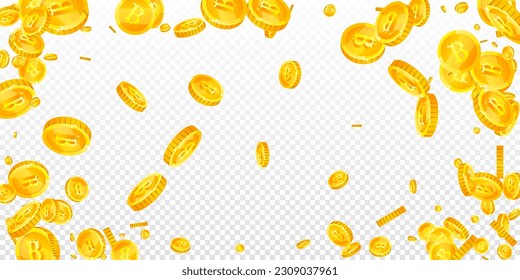Bitcoin coins falling. Cryptocurrency scattered gold BTC coins. Internet currency. Great business success concept. Wide vector illustration.