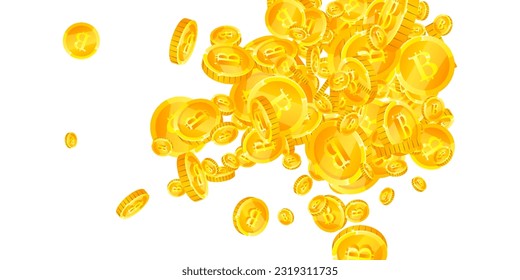 Bitcoin coins falling. Cryptocurrency scattered gold BTC coins. Internet currency. Great business success concept. Wide vector illustration.