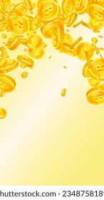 Bitcoin coins falling. Cryptocurrency scattered gold BTC coins. Internet currency. Global financial crisis concept. Vector illustration.