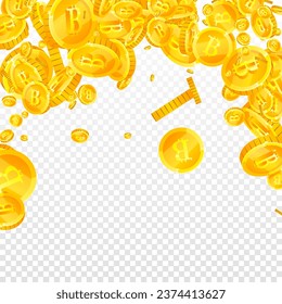 Bitcoin-Münzen fallen. Kryptowährungen verstreute Gold-BTC-Münzen. Internetwährung. Großartiges Erfolgskonzept für Unternehmen. Square, Vektorgrafik.