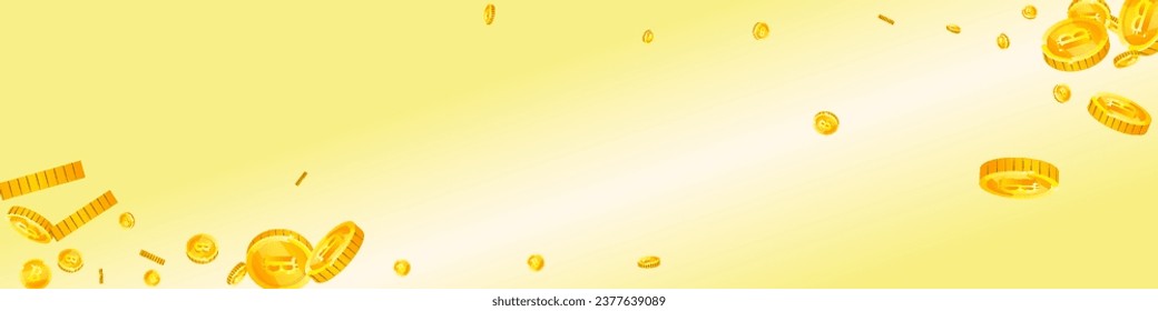 Bitcoin coins falling. Cryptocurrency scattered gold BTC coins. Internet currency. Jackpot wealth or success concept. Panoramic vector illustration.