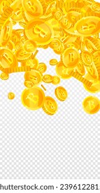 Bitcoin coins falling. Cryptocurrency scattered gold BTC coins. Internet currency. Jackpot wealth or success concept. Vector illustration.