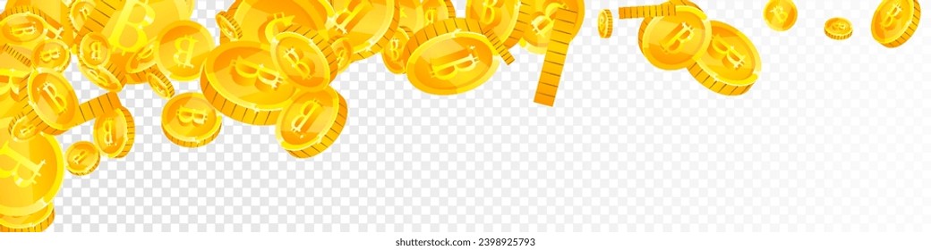 Bitcoin coins falling. Cryptocurrency scattered gold BTC coins. Internet currency. Great business success concept. Panoramic vector illustration.