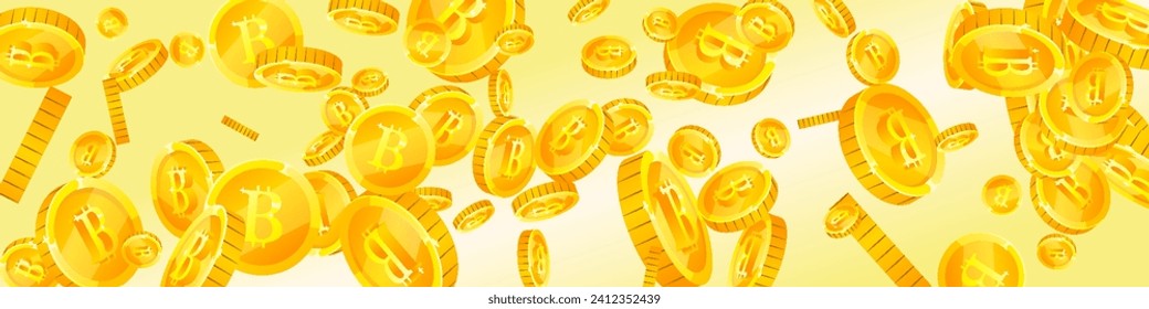 Bitcoin coins falling. Cryptocurrency scattered gold BTC coins. Internet currency. Great business success concept. Panoramic vector illustration.