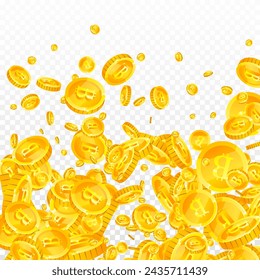 Bitcoin coins falling. Cryptocurrency scattered gold BTC coins. Internet currency. Jackpot wealth or success concept. Square vector illustration.
