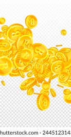 Las monedas de Bitcoin caen. Criptomonedas de oro esparcidas monedas BTC. Divisa de Internet. Bote de riqueza o concepto de éxito. Ilustración vectorial.