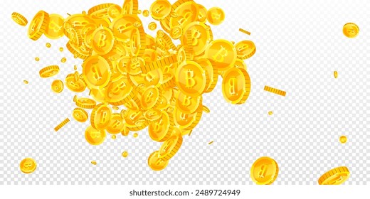 Bitcoin coins falling. Cryptocurrency scattered gold BTC coins. Internet currency. Global financial crisis concept. Wide vector illustration.