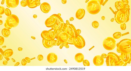 Bitcoin coins falling. Cryptocurrency scattered gold BTC coins. Internet currency. Great business success concept. Wide vector illustration.