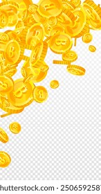 Bitcoin coins falling. Cryptocurrency scattered gold BTC coins. Internet currency. Global financial crisis concept. Vector illustration.