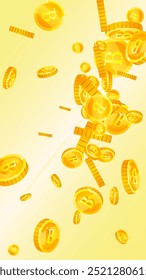Bitcoin coins falling. Cryptocurrency scattered gold BTC coins. Internet currency. Jackpot wealth or success concept. Vector illustration.