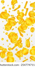 Bitcoin monedas cayendo. Criptomoneda oro disperso BTC monedas. Moneda de Internet. Jackpot riqueza o concepto de éxito. Ilustración vectorial.