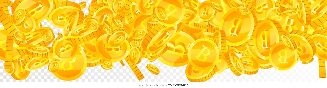 Bitcoin coins falling. Cryptocurrency scattered gold BTC coins. Internet currency. Great business success concept. Panoramic vector illustration.