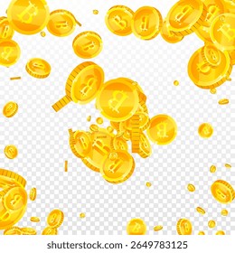 Bitcoin moedas caindo. Criptomoeda espalhou moedas de ouro BTC. Moeda na Internet. Grande conceito de sucesso empresarial. Ilustração de vetor quadrado.