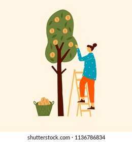 Bitcoin cryptocurrency concept illustration of women harvesting btc from the tree. Funny flat characters in vector illustrated blockchain mining.