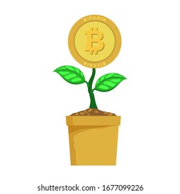 The Bitcoin financial system is growing. Crypto currency grows value. Vector illustration.
