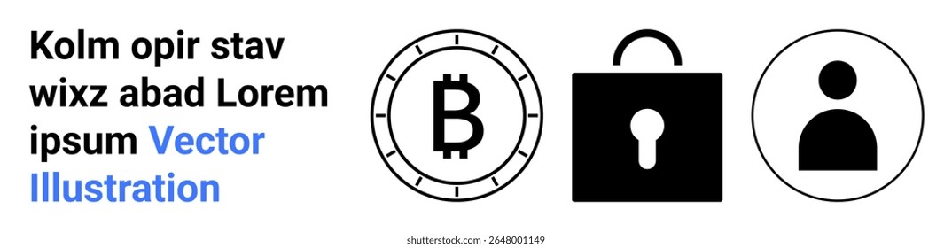 Bitcoin ícone, cadeado, perfil do usuário ícone dentro de círculos. Ideal para representar criptomoeda, segurança, verificação de identidade, privacidade, contas online, finanças digitais, blockchain. Página inicial
