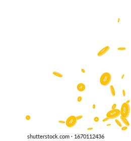 Bitcoin, internet currency coins falling. Scattered disorderly BTC coins on white background. Brilliant scattered bottom right corner vector illustration. Jackpot or success concept.