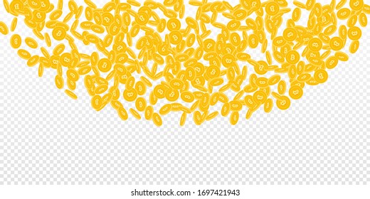 Bitcoin, internet currency coins falling. Scattered small BTC coins on transparent background. Uncommon top semicircle vector illustration. Jackpot or success concept.