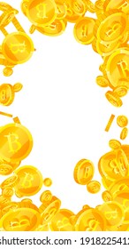 Bitcoin, internet currency coins falling. Remarkable scattered BTC coins. Cryptocurrency, digital money. Attractive jackpot, wealth or success concept. Vector illustration.