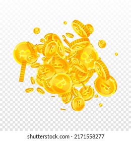Bitcoin, monedas de internet cayendo. Monedas asombrosas dispersas de BTC. Criptomoneda, dinero digital. Completo pozo, riqueza o concepto de éxito. Ilustración vectorial.