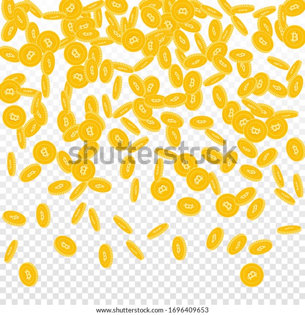 Bitcoin Internet Currency Coins Falling Scattered Stock Vector Royalty Free 1696409653