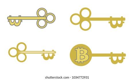 bitcoin key disign for you project, concept, vector illustration in a white background.