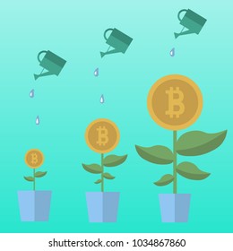 Bitcoin money flowers set with watering cans. Decorative plants in pots on a blue background. Vector illustration.