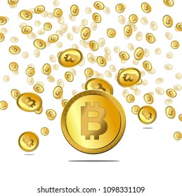 bitcoin money vector