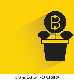 maceta de planta de bitcoin con sombra sobre fondo amarillo