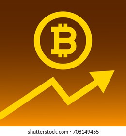 Bitcoin price rises and growth