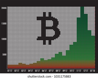 Bitcoin Vector Infographic Illustration