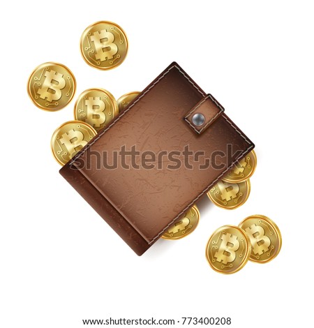 Bitcoin Wallet Vector Money Brown Bitcoin Stock Vector Royalty Free - 