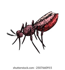 bite mosquito hand drawn. malaria dengue, zika virus, insect control bite mosquito vector sketch. isolated color illustration