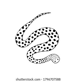 Bitis snake vector illustration. Black and white stock sketch. Reptile animal.