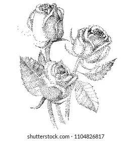Bitmap bouquet of roses, isolated on white background. Rose flower. Vector illustration