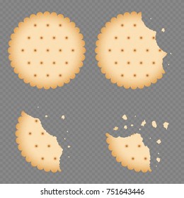 Bitten chip biscuit cookie, cracker isolated on transparent background. Vector illustration