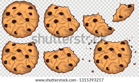 bitten cookies with chocolate chip