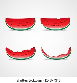 Bitten slices of watermelon