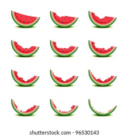 Bitten slices of watermelon on white, vector illustration, eps10