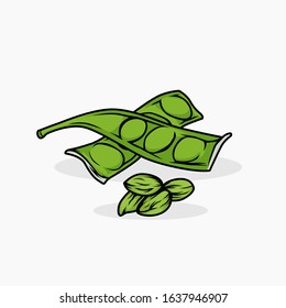 Bitter bean vector illustration isolated for all purpose