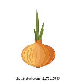 Bitter golden onion isolated on white background. Summer farm design elements. Natural fresh bright bunch of onion. Template vector illustration for packaging, card and other design. Food eco concept.