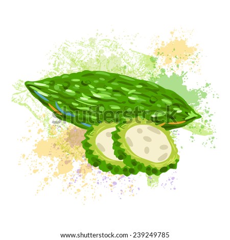 Bitter Gourd Stock Vector (Royalty Free) 239249785 - Shutterstock