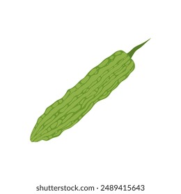 Ilustración vectorial de diseño plano de calabaza amarga aislada sobre fondo blanco. Verduras de melón amargo con hoja verde. Buena comida orgánica para la salud. Fruta verde o vegetal. Comida médica de pera de bálsamo