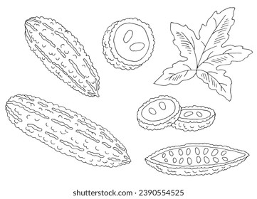 Bitter gourd Goya green cucumber graphic black white isolated sketch illustration vector