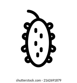 bitter gourd icon or logo isolated sign symbol vector illustration - high quality black style vector icons
