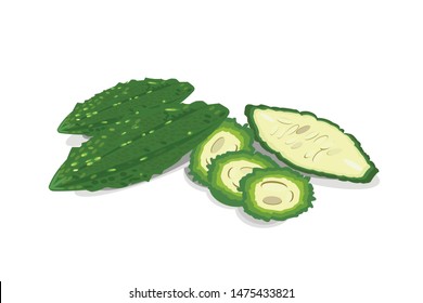 Bitter Gourd Karela bitter melon stock illustration