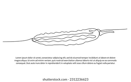 Bitter Gourd un diseño de línea continua. Concepto de símbolo vegetal. Elementos decorativos dibujados sobre un fondo blanco.