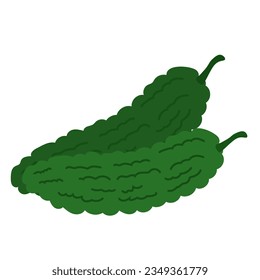 Bitter gourd or pare vegetable, hand drawn peria or paria vegetables, cartoon flat illustration